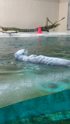 I御一行様と鳥羽・伊勢神宮への記事動画