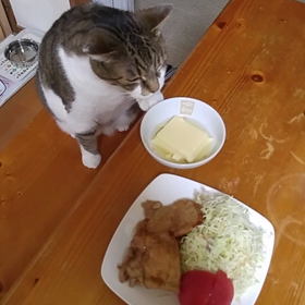 盗み食いの画像