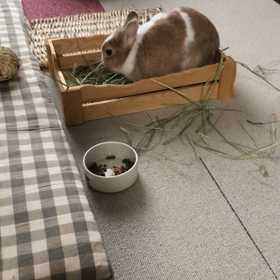 4/19  そっくりの画像