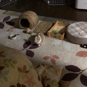 5/13  明日の画像