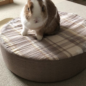 4/13 カメラ目線の画像