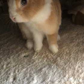 8/23 ビックリしまちたの画像