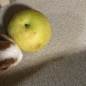 8/31 先輩ありがとうございます(^^)の画像