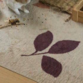 6/24 熱中症の画像