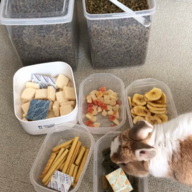 12/12  ぼくも年末年始準備開始でつの画像