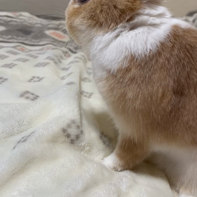 2/13 感染の画像