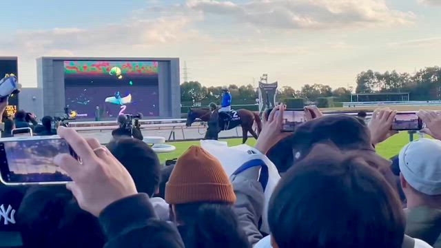 プリマステラという劇薬〜「水野愛理生誕くじグッズが届く」「チャンピオンズC、レモンポップ引退式」の記事動画