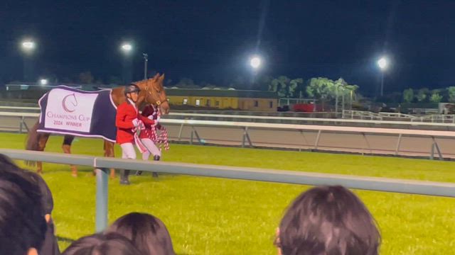 プリマステラという劇薬〜「水野愛理生誕くじグッズが届く」「チャンピオンズC、レモンポップ引退式」の記事動画