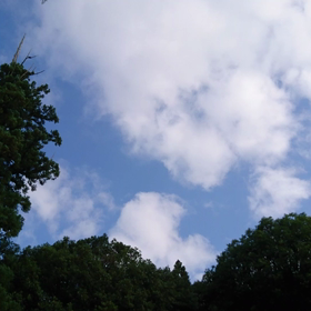 20180617おはようございます。の画像