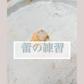 2025/02/26の画像