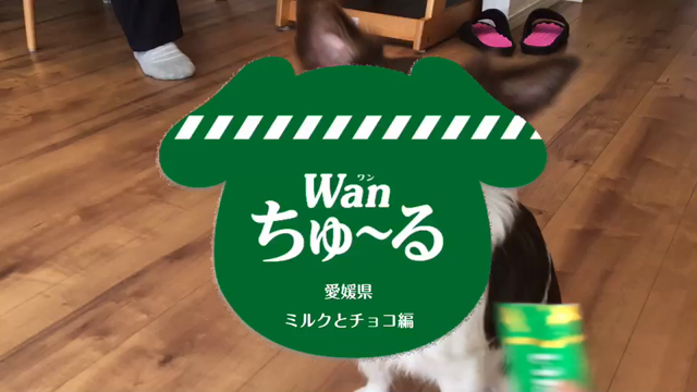 それぞれの時間の記事動画