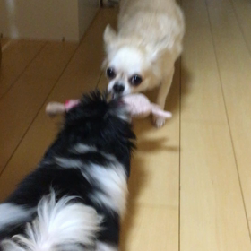 帰ってきました！の画像