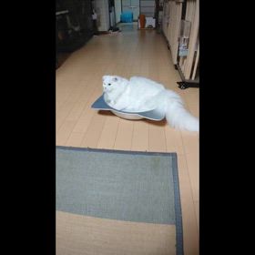 2024/08/25の画像