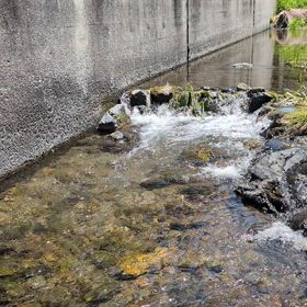 家族で過ごせる時間…の画像