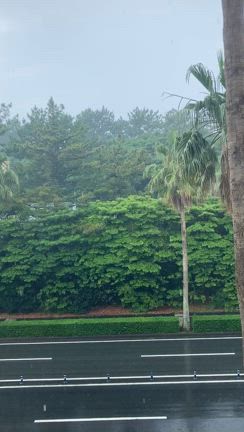 現地より☆大雨〜の記事動画
