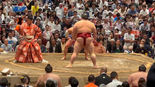 2026 9月場所10日目の記事動画