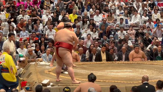 2026 9月場所10日目の記事動画