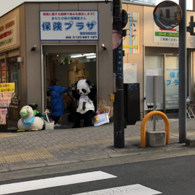 寝屋川えびすの画像