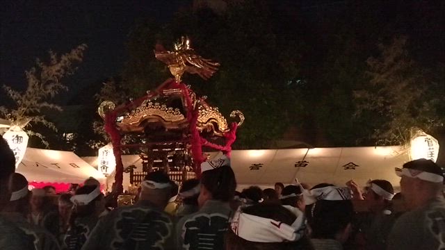 白山のアジサイから根津と上野　　そして優待消化のラーメンの記事動画