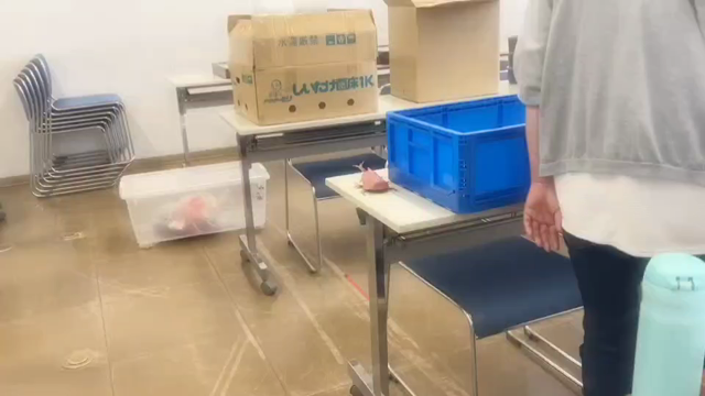 ふれあい展示会を終えての記事動画