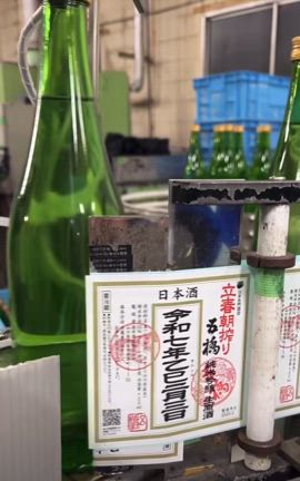 令和七年乙巳二月三日立春朝搾り（山口県岩国市中華料理花鳥風月）の記事動画