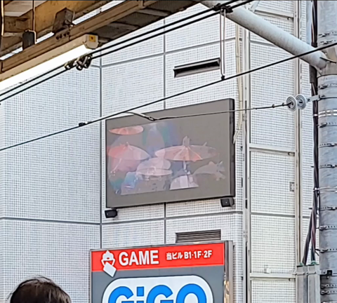 タカダリダノババの記事動画