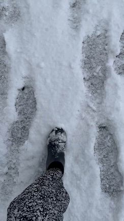 雪の記事動画