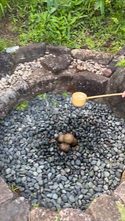 荻窪三庭園の記事動画