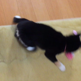 時々発狂の画像