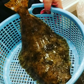 平目！！の画像