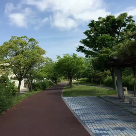 なぜ？しんおおさーかですかー？？の画像
