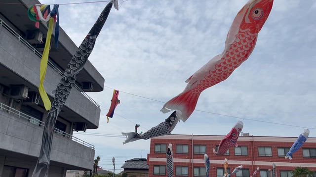 鯉のぼり！の記事動画