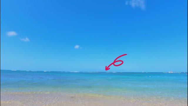 韓流活動 in ハワイの記事動画