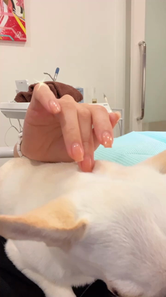 人生で一番綺麗なの記事動画