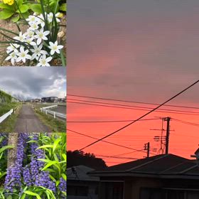2024/05/21の画像