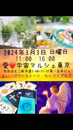 2024/02/04の記事動画