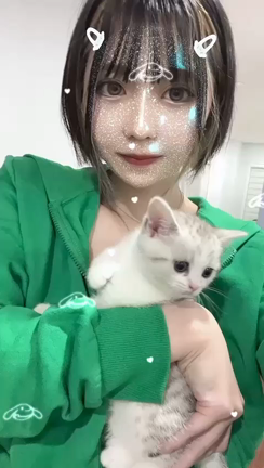 1人旅 カナダ 続き　▶︎▶︎ 10日めを迎えましたの記事動画