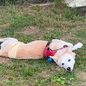 毎日がトレーニングの画像