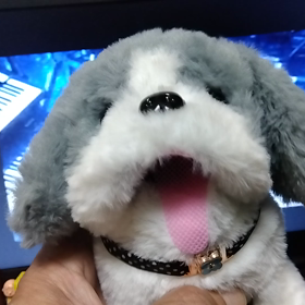 うん？の画像