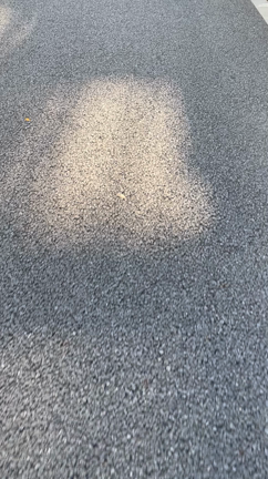 パグと牡蠣 の巻の記事動画