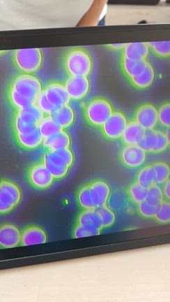 健康になってるのかな。【閲覧注意】の記事動画
