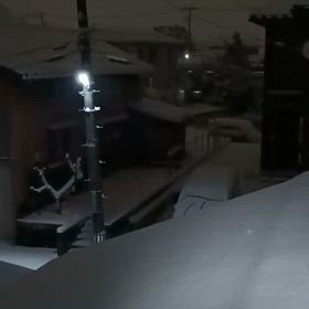 2025/02/05の画像