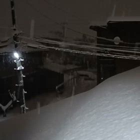 2025/02/07の画像