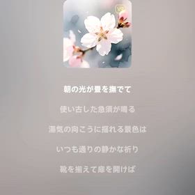 2026/04/21の画像