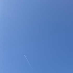 うぐいすの画像