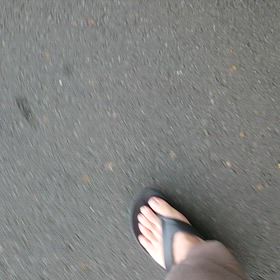 暇さえあれば散歩。笑の画像