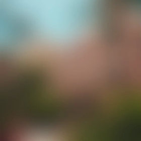 おーの画像