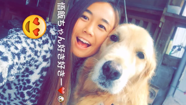 私の癒し❣の記事動画