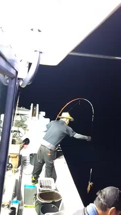 久々に更新イカ爆釣です！の記事動画