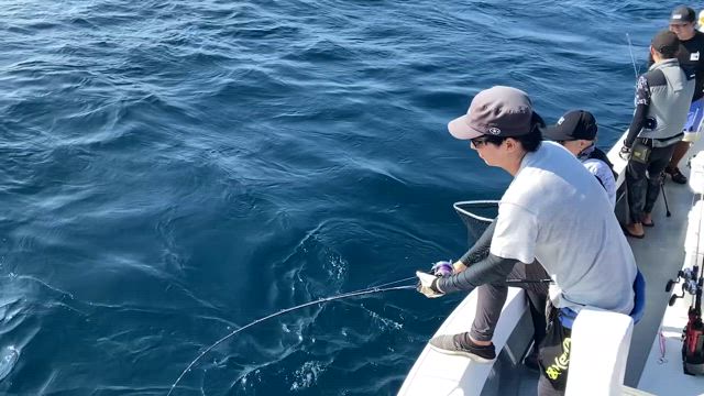 佐多沖ジギングの記事動画
